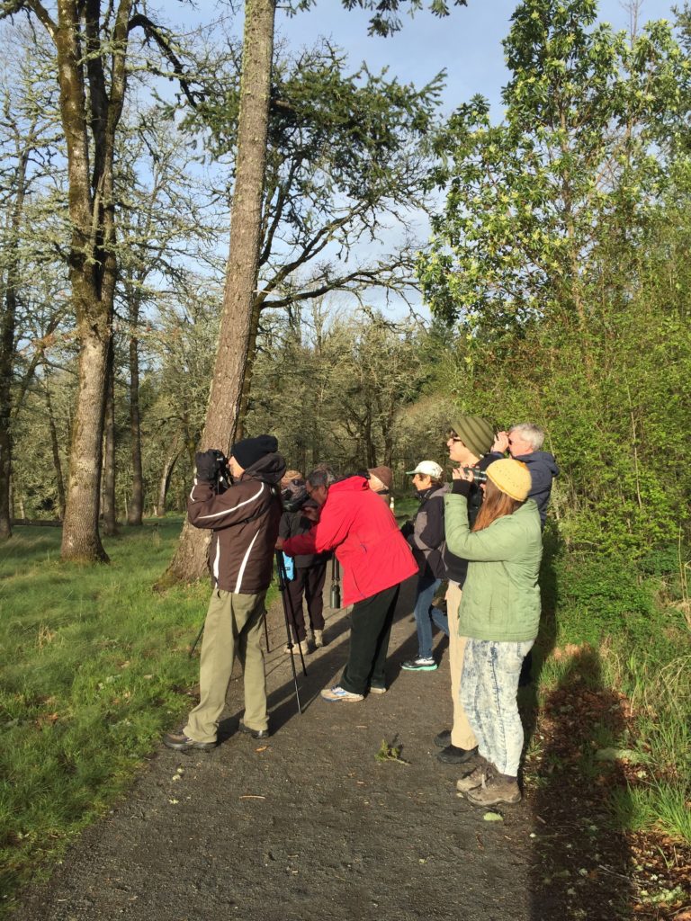 Cooper Mountain Birding Group