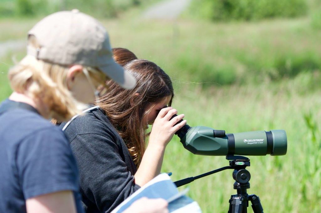 Christine scans the waterfowl while Kestin checks the field guides